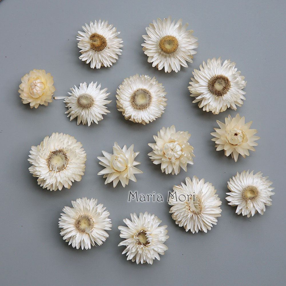 Candle Making Los Angeles - Natürlicher getrockneter bunter Chrysanthemenkranz, handgefertigter Haarschmuck,