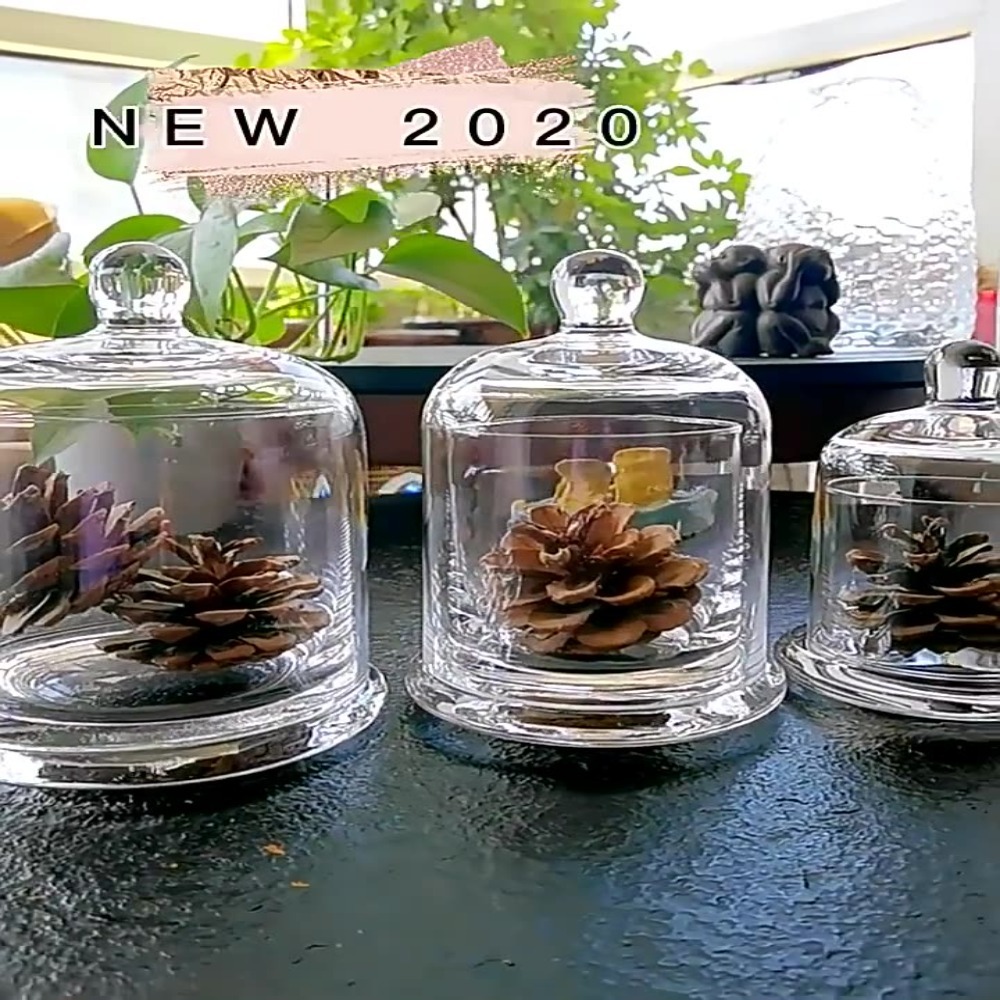 Candle Making Jars With Lids - Glas-Vorratsgefäß für Ewige Blumen in 8